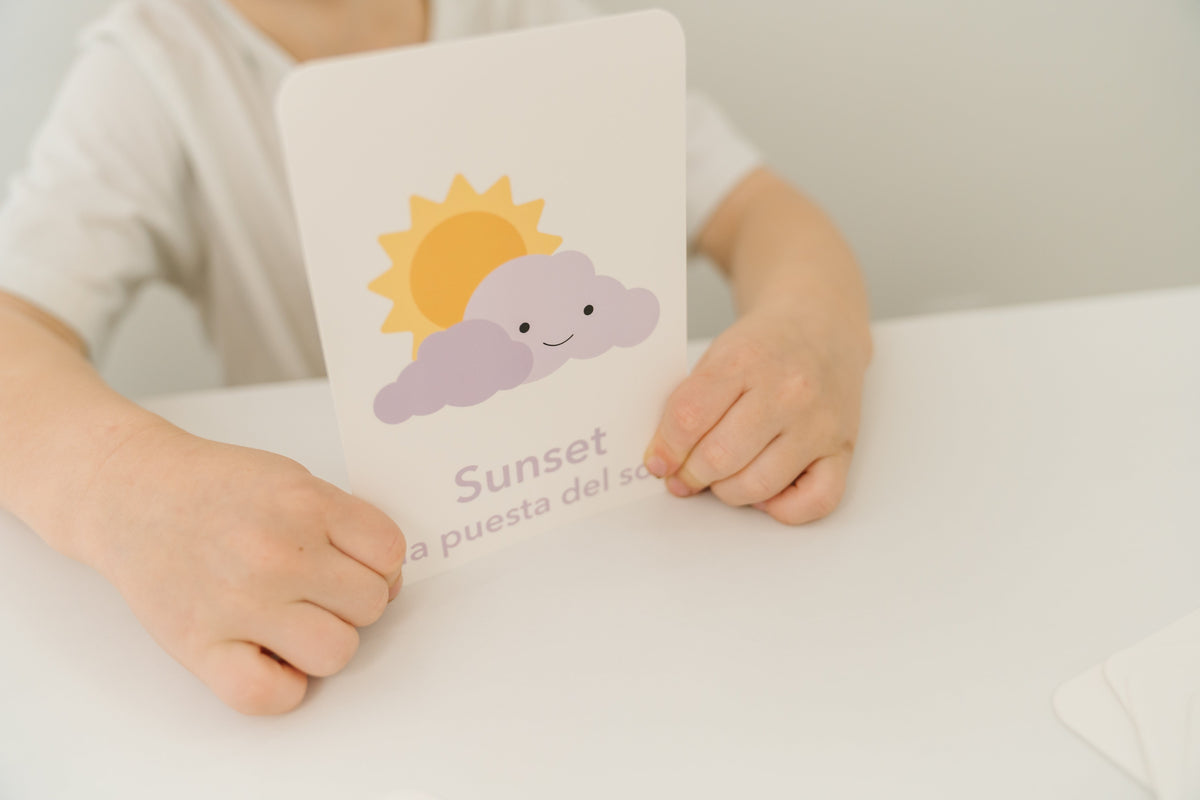 Weather Flashcards - The Baby Penguin