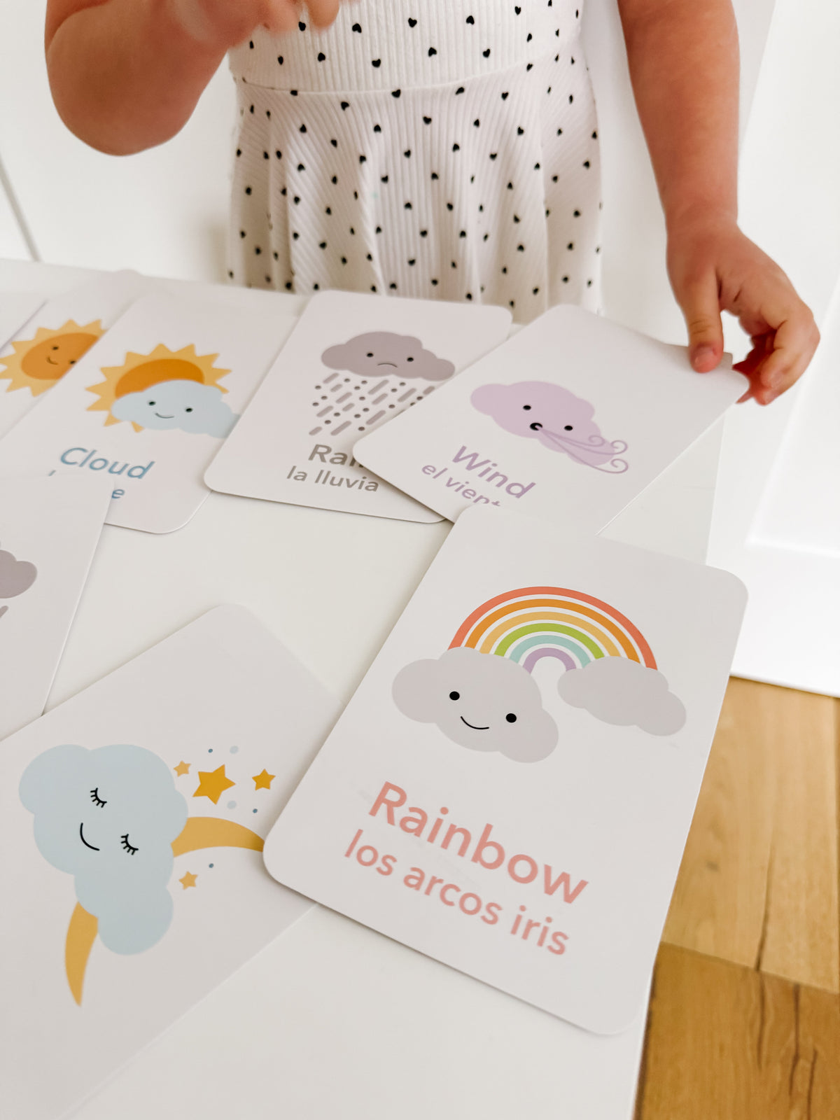 Weather Flashcards - The Baby Penguin