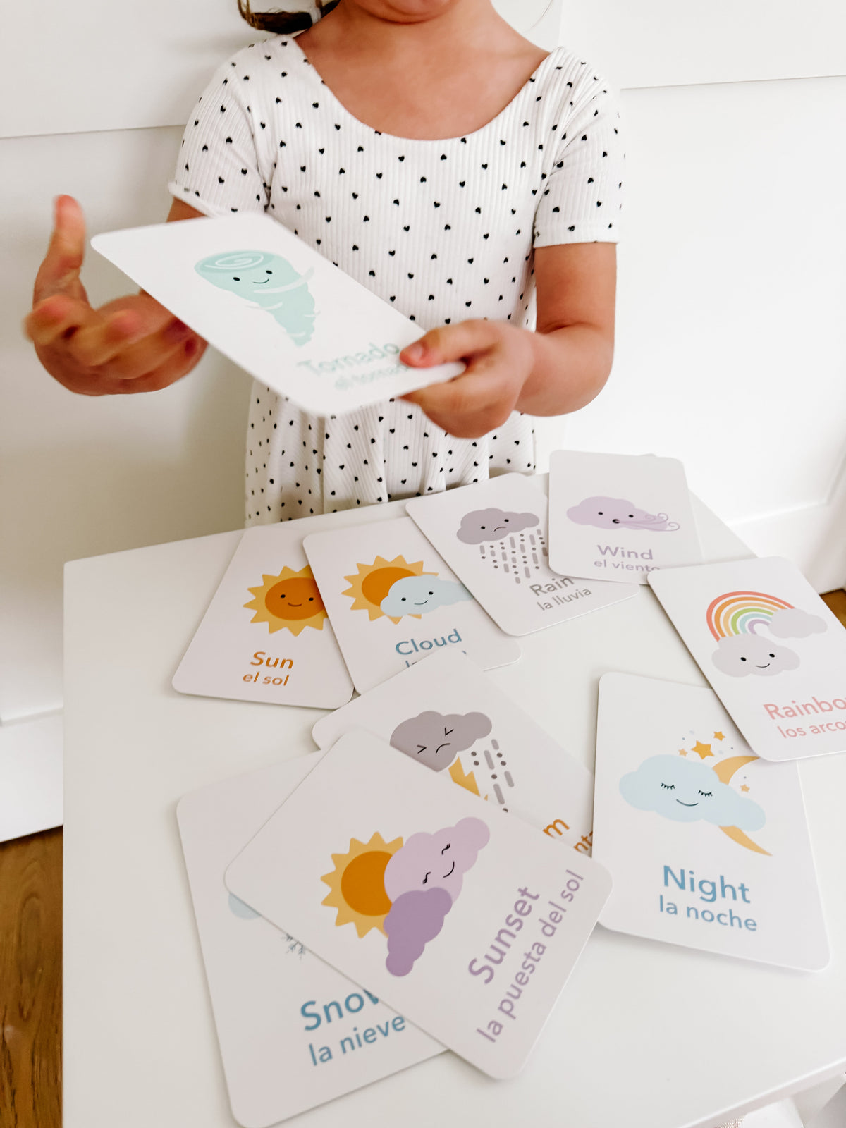 Weather Flashcards - The Baby Penguin