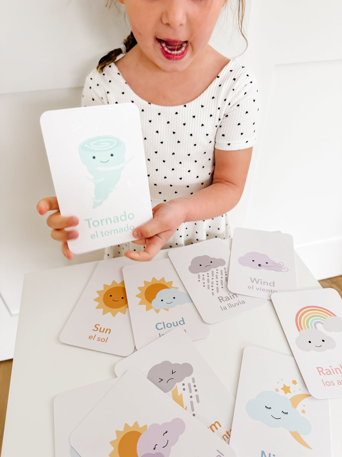 Weather Flashcards - The Baby Penguin
