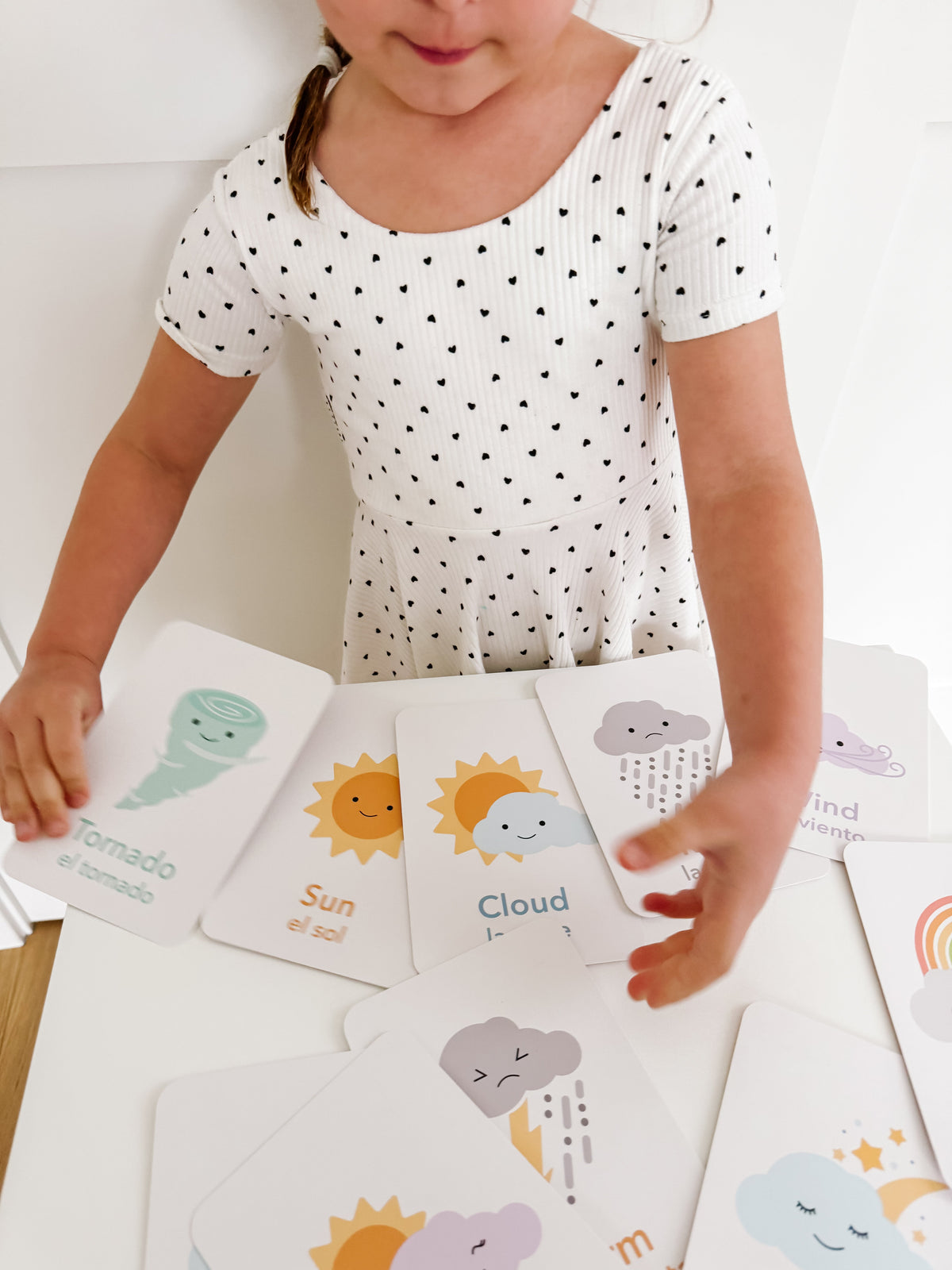 Weather Flashcards - The Baby Penguin