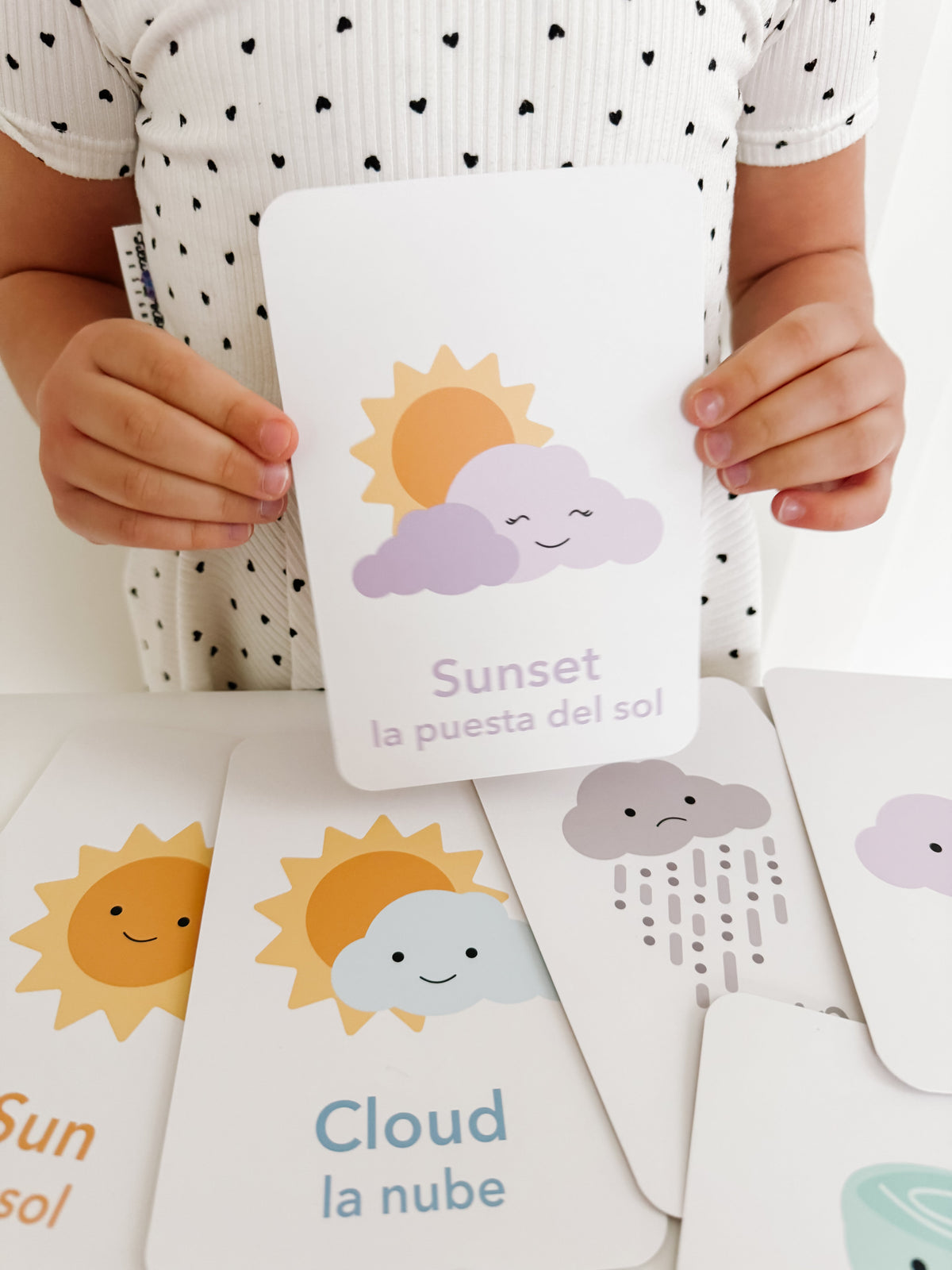 Weather Flashcards - The Baby Penguin