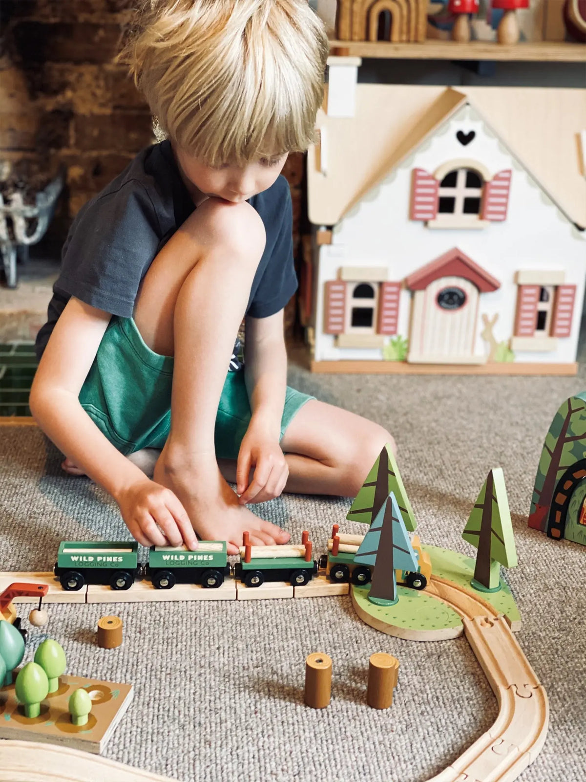 Tender Leaf Wild Pines Wooden Train Set