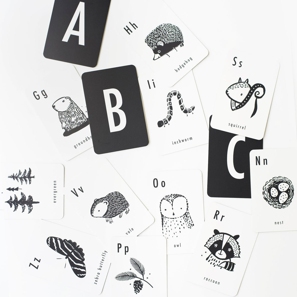 Woodland Alphabet Cards - The Baby Penguin