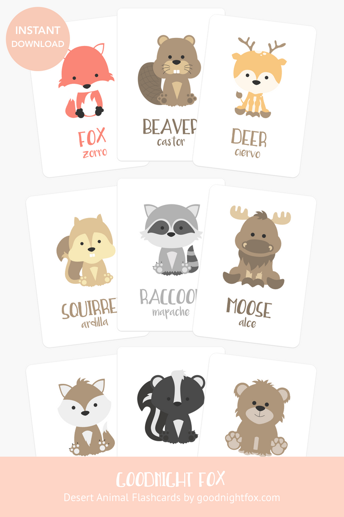 Woodland Animal Flashcards - The Baby Penguin
