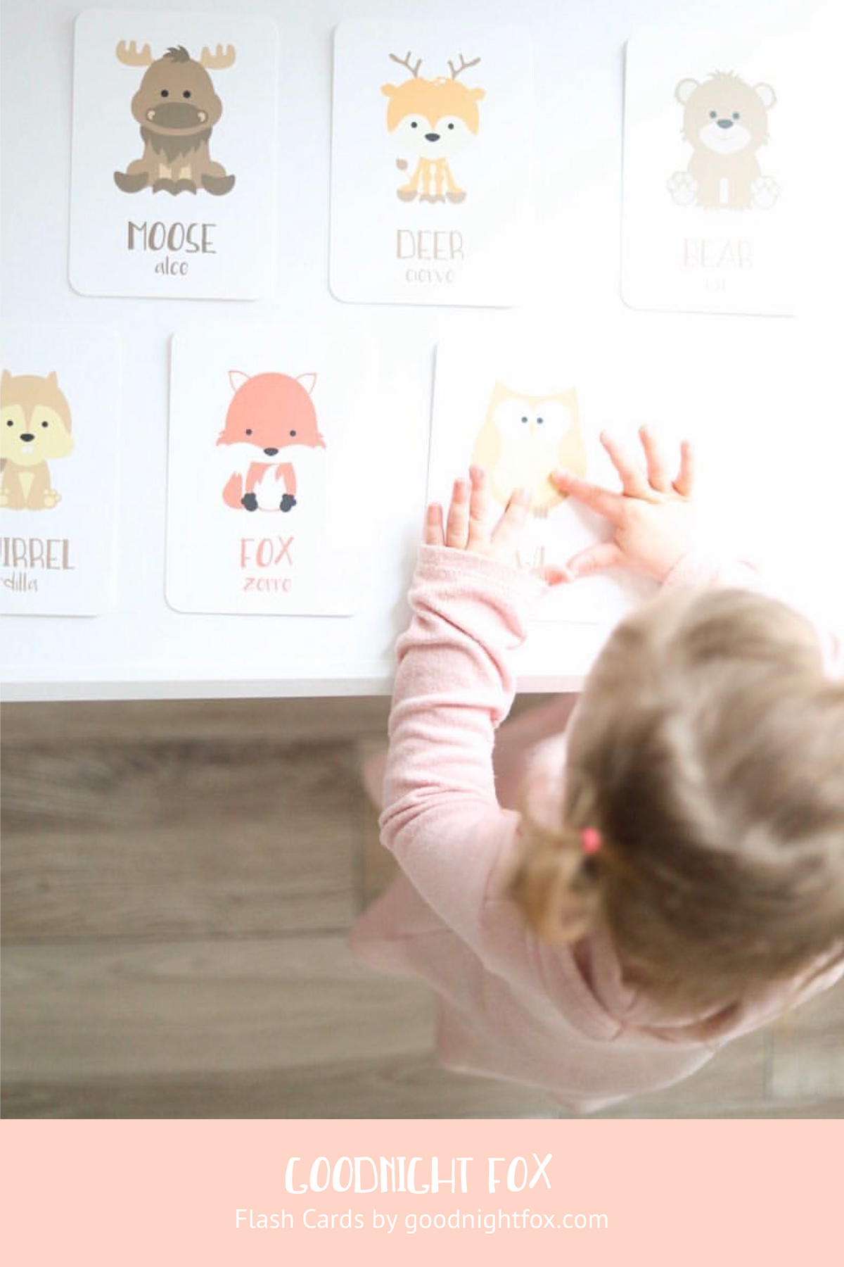 Woodland Animal Flashcards - The Baby Penguin