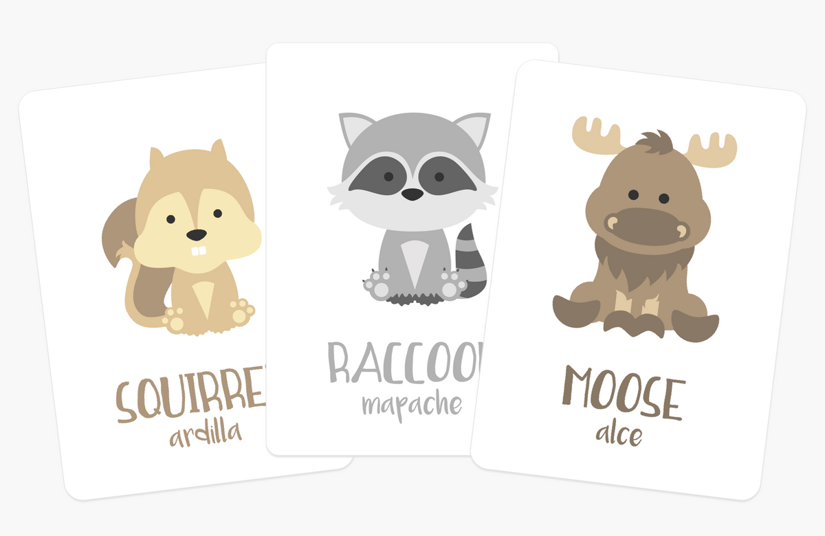 Woodland Animal Flashcards - The Baby Penguin