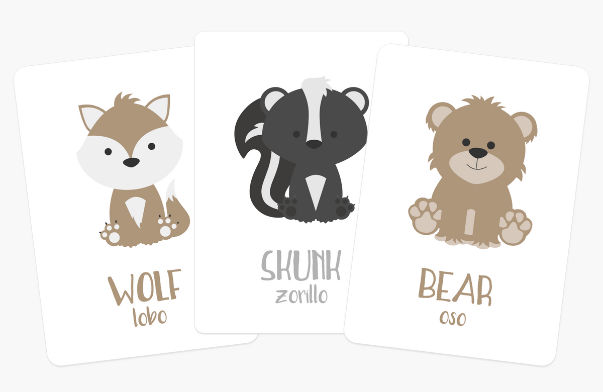 Woodland Animal Flashcards - The Baby Penguin