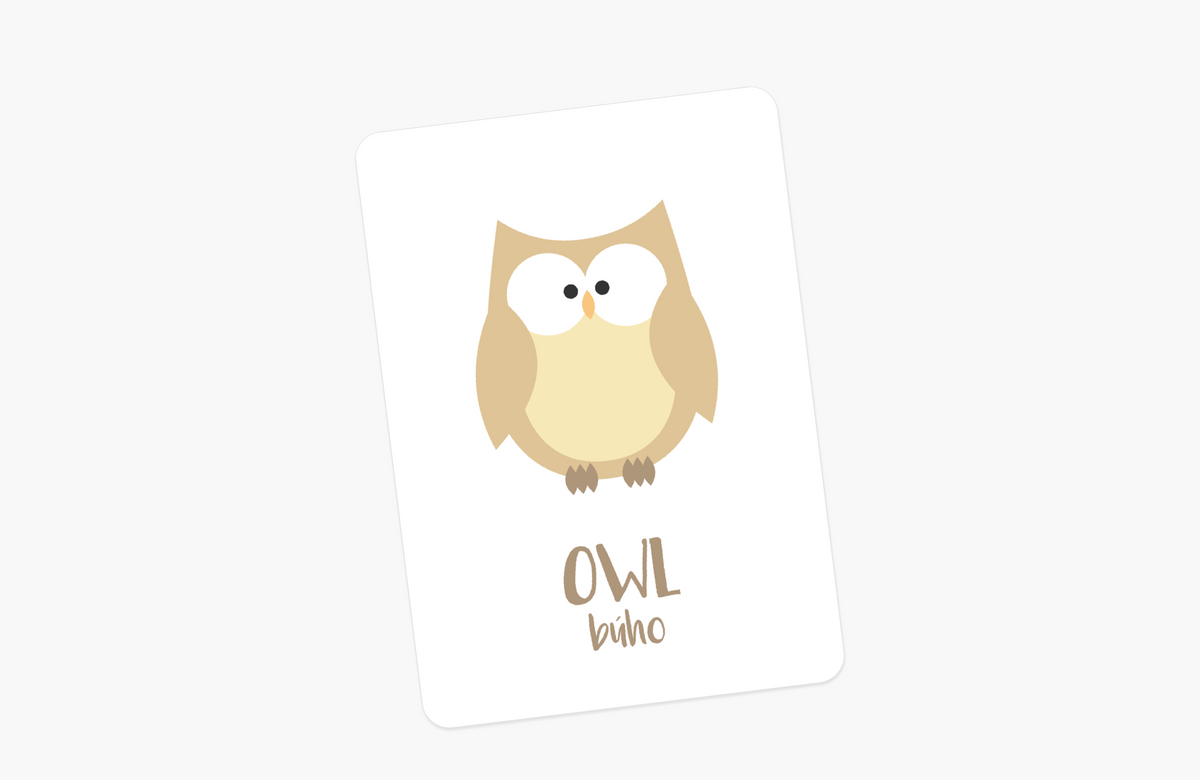 Woodland Animal Flashcards - The Baby Penguin