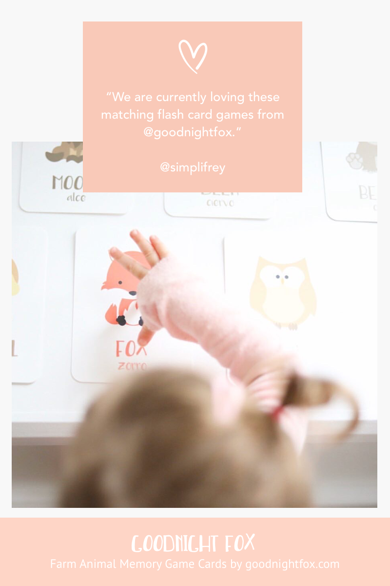 Woodland Animal Flashcards - The Baby Penguin