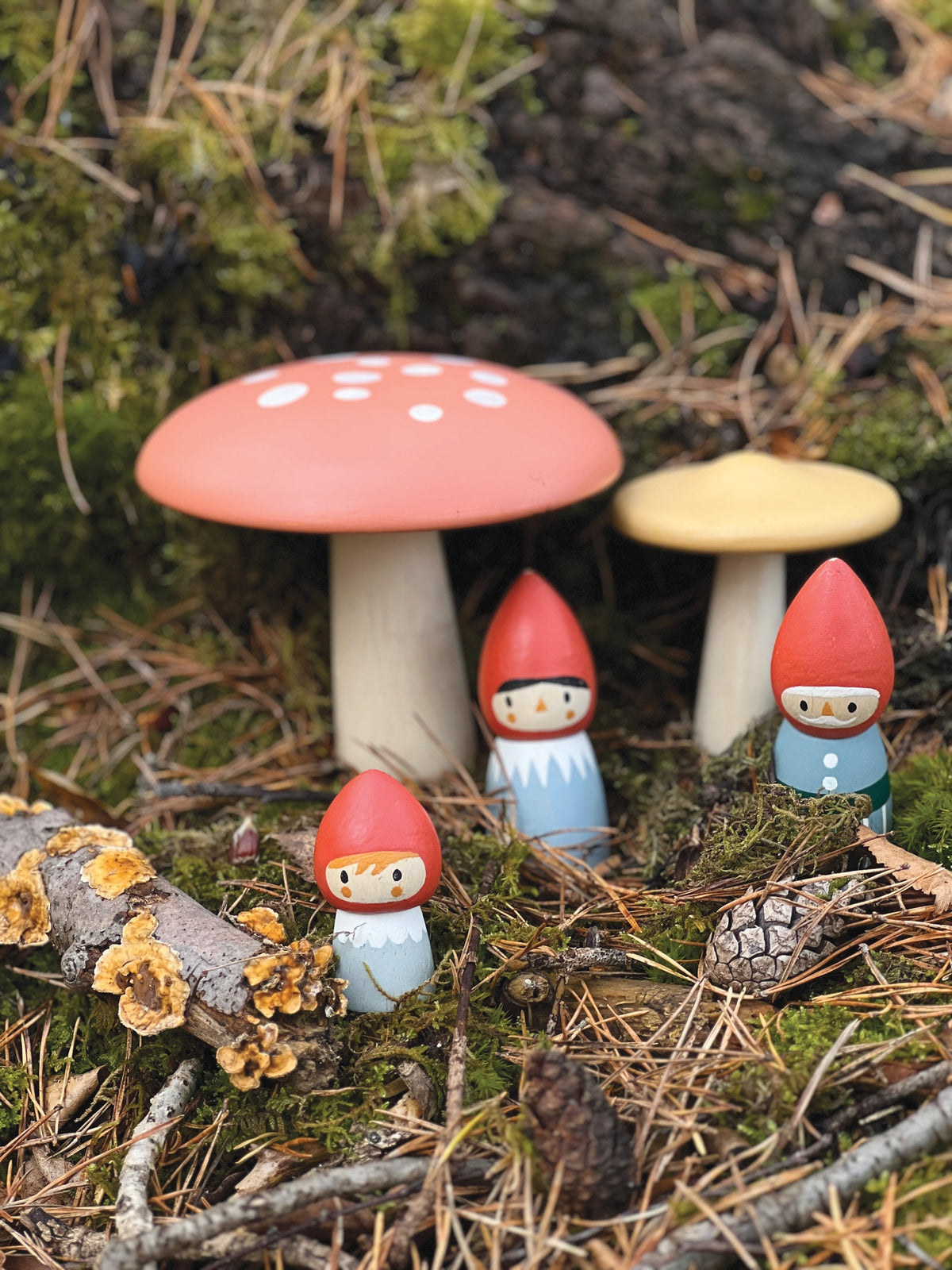 Tender Leaf Woodland Gnome Wooden Family Set