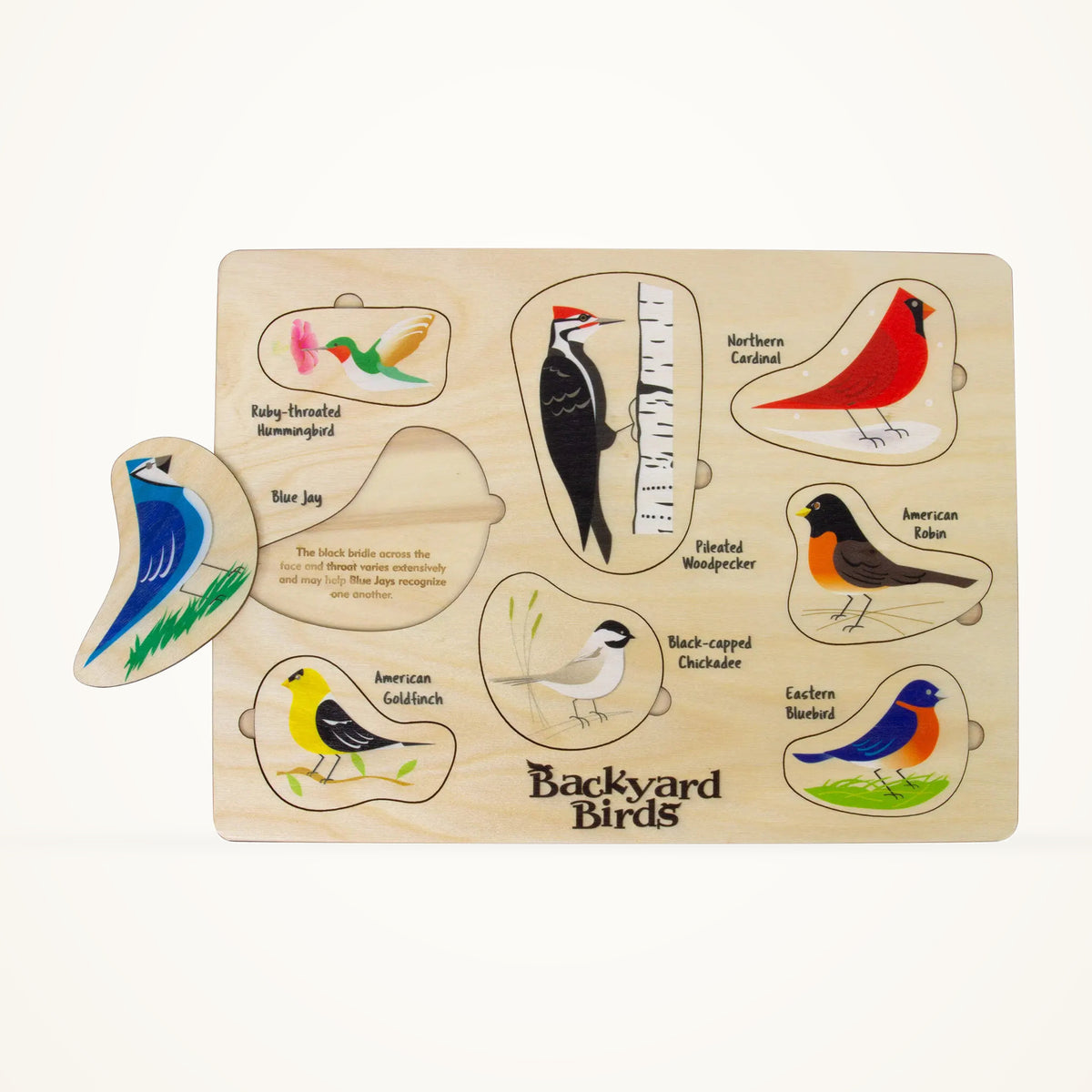 Maple Landmark Lift & Learn Birds Puzzle photographed on a warm ivory background.