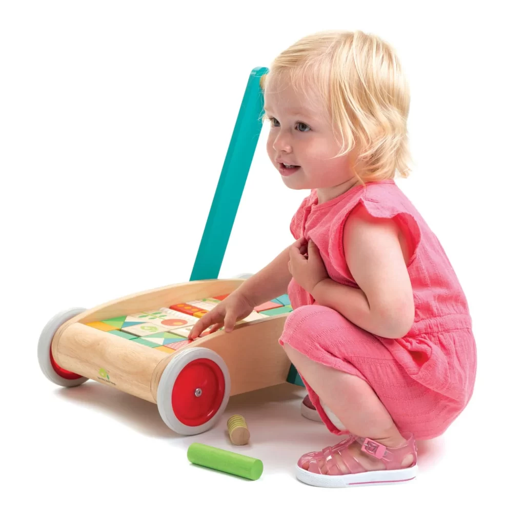 Baby Block Walker | Push & Pull | Tender Leaf Toys
