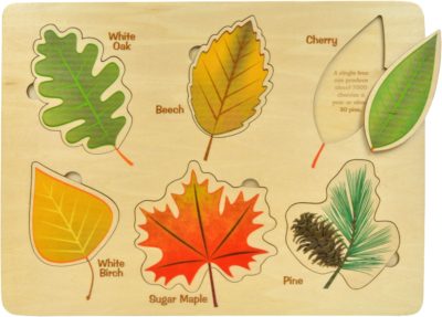 Lift & Learn Leaves Puzzle | Sustainable Toy | USA Made