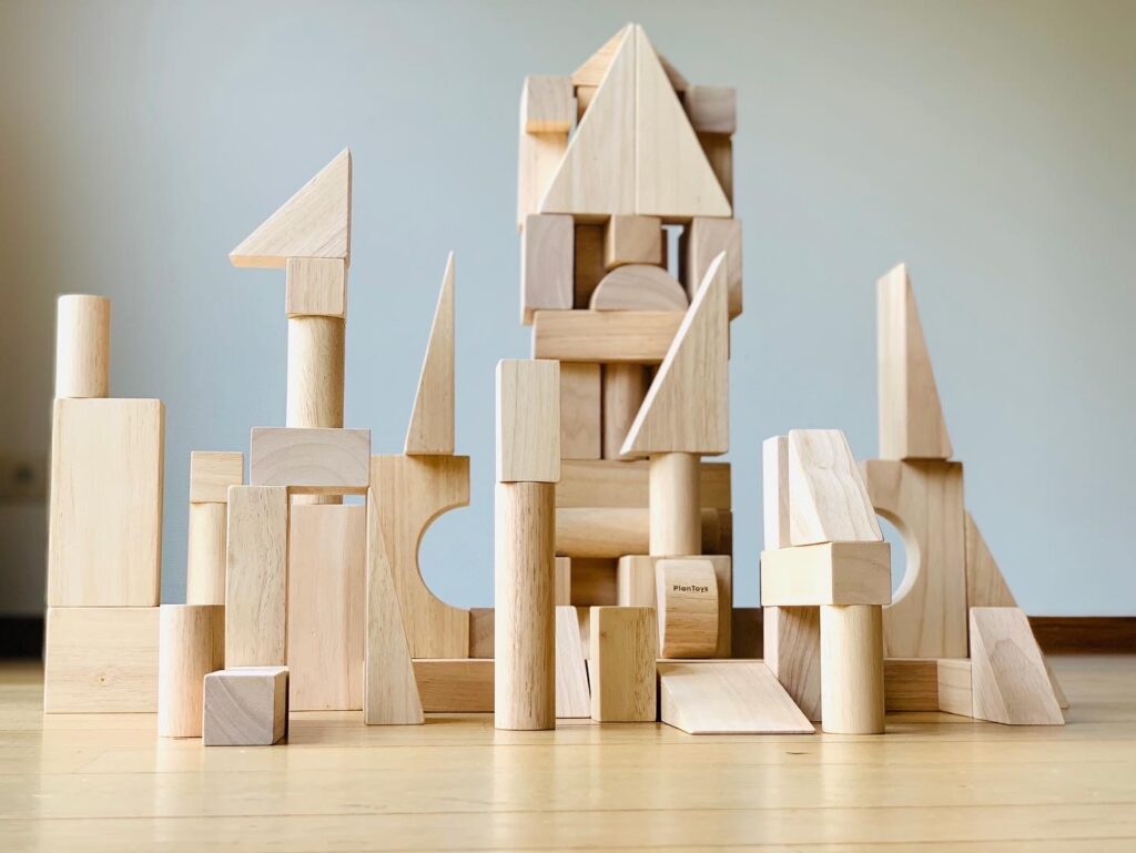 50 Unit Wooden Blocks | Block Sets | PlanToys 5502