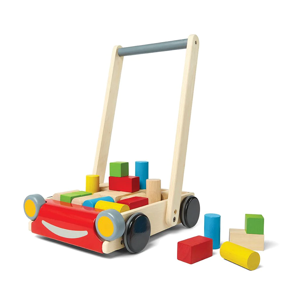 Baby Walker with Colored Wooden Blocks