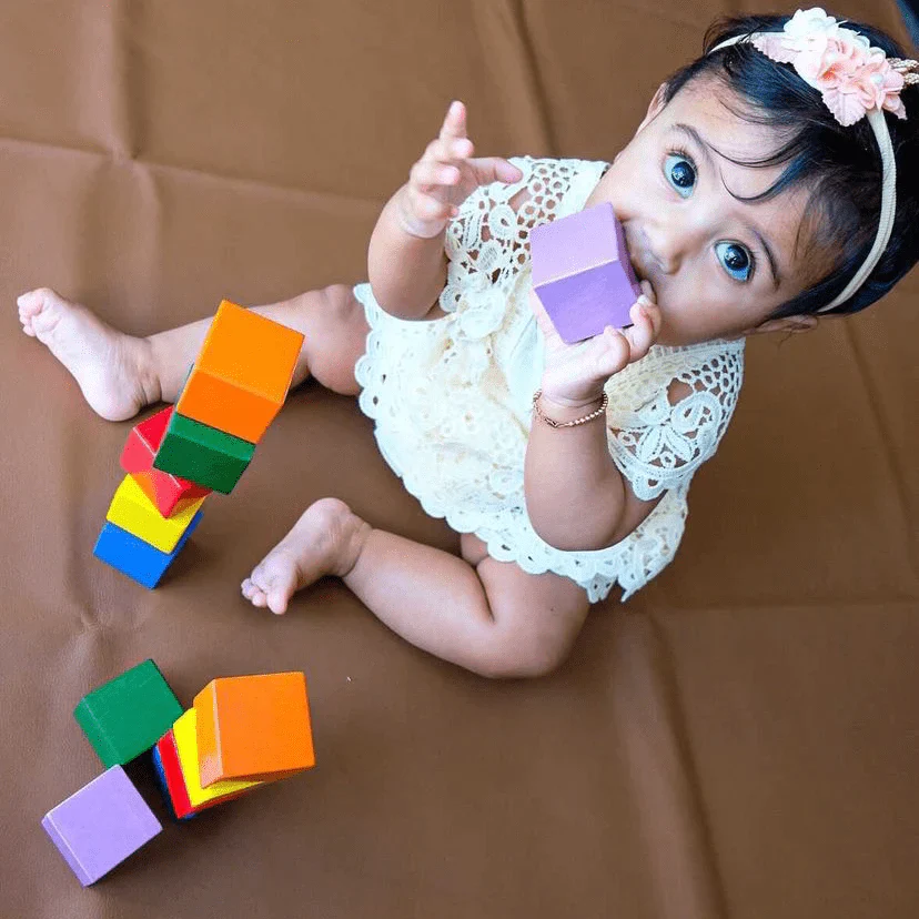 Baby's First Wood Basic Blocks by HABA