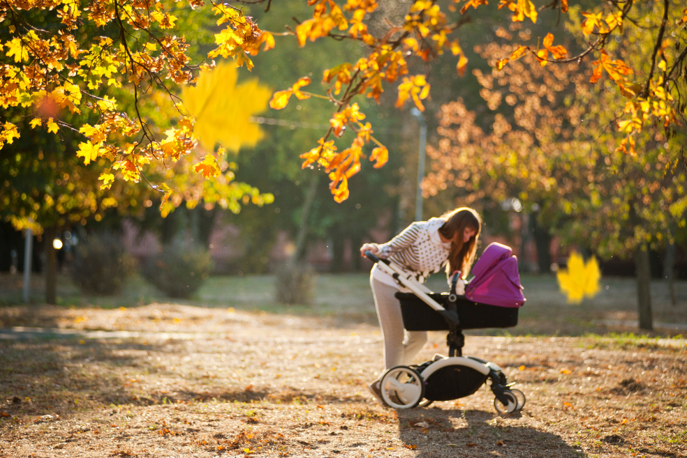 Best Eco-Friendly Baby Strollers | Top 9 Ranked & Rated